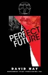 A Perfect Future cover