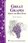 Great Grapes cover