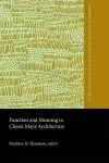 Function and Meaning in Classic Maya Architecture cover
