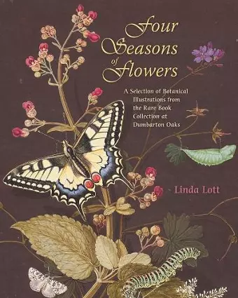 Four Seasons of Flowers cover