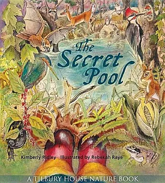 The Secret Pool cover