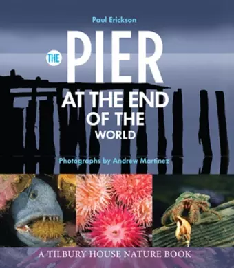 The Pier at the End of the World cover