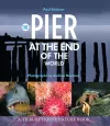 The Pier at the End of the World cover