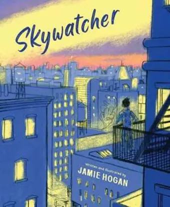 Skywatcher cover