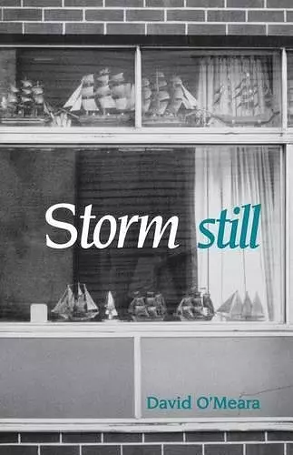 Storm Still cover