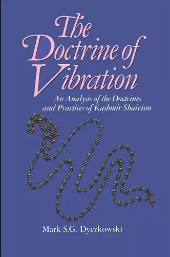The Doctrine of Vibration cover