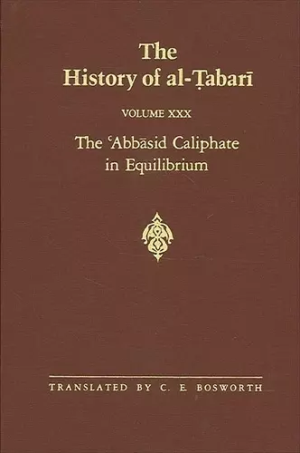 The History of al-Ṭabarī Vol. 30 cover