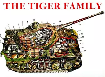 The Tiger Family cover