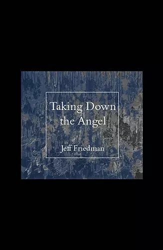 Taking Down the Angel cover