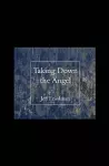 Taking Down the Angel cover