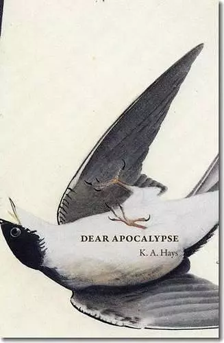 Dear Apocalypse cover