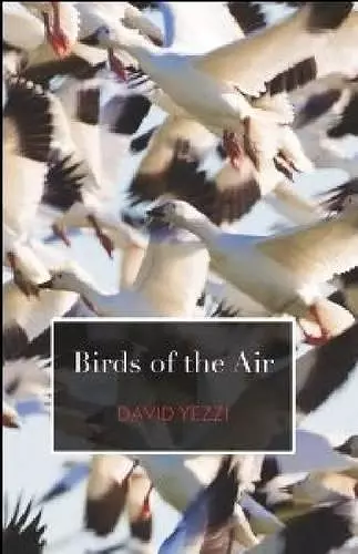 Birds of the Air cover