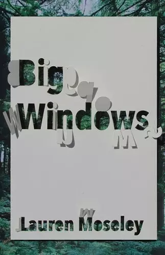 Big Windows cover