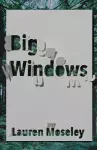 Big Windows cover