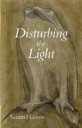 Disturbing the Light cover