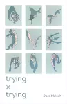 Trying x Trying cover