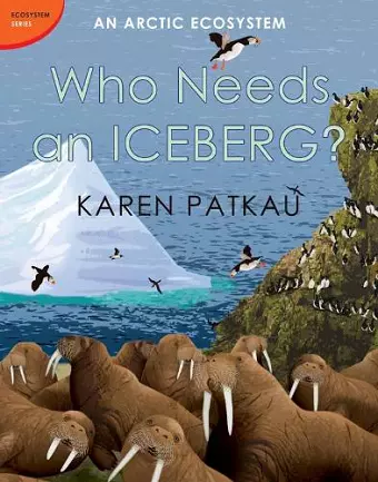 Who Needs an Iceberg? cover