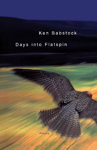 Days into Flatspin cover