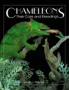 Chameleons cover