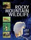 Rocky Mountain Wildlife cover