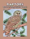Raptors - Birds of Prey Coloring Book cover