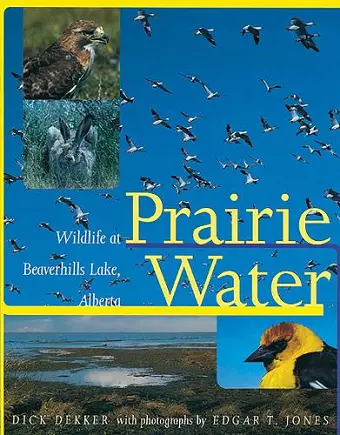 Prairie Water cover