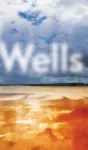 Wells cover