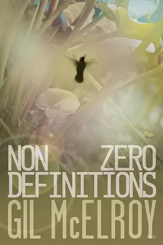 NonZero Definitions cover