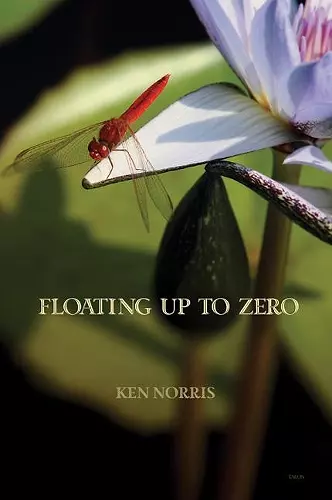 Floating Up to Zero cover