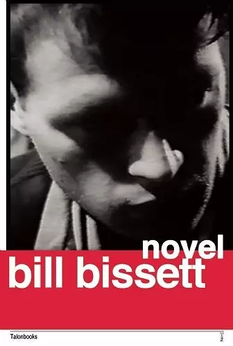 novel cover