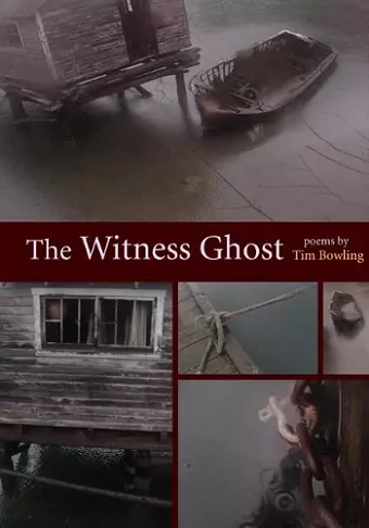 The Witness Ghost cover