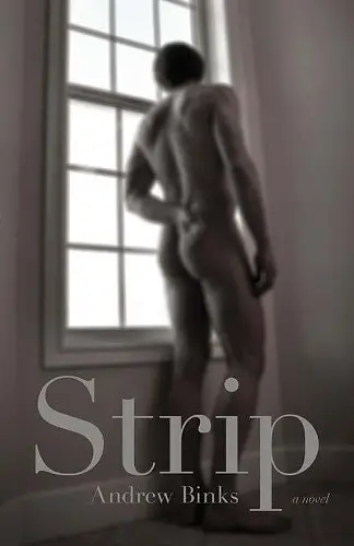 Strip cover