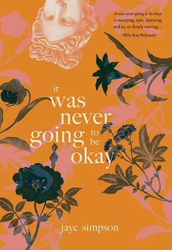 it was never going to be okay cover