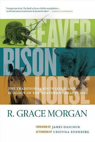 Beaver, Bison, Horse cover