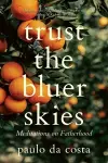 Trust the Bluer Skies cover