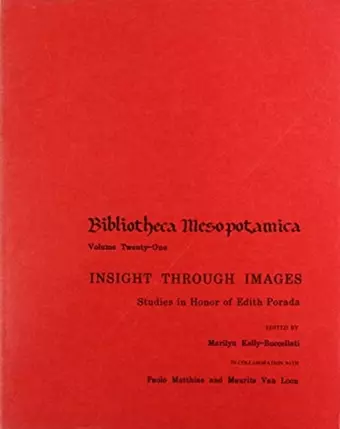 Insight through Images cover