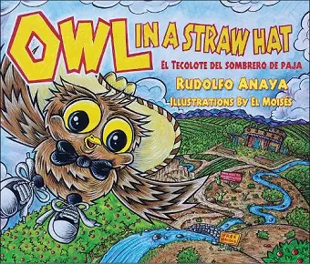 Owl in a Straw Hat cover