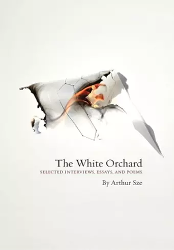 The White Orchard cover