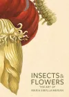 Insects and Flowers – The Art of Maria Sibylla Merian cover