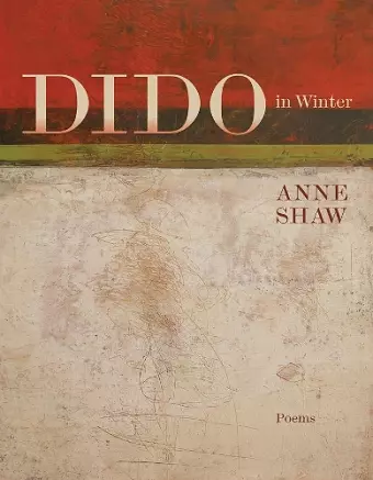 Dido in Winter cover