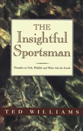 The Insightful Sportsman cover