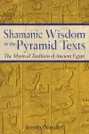 Shamanic Wisdom in the Pyramid Texts cover