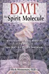 DMT: The Spirit Molecule cover