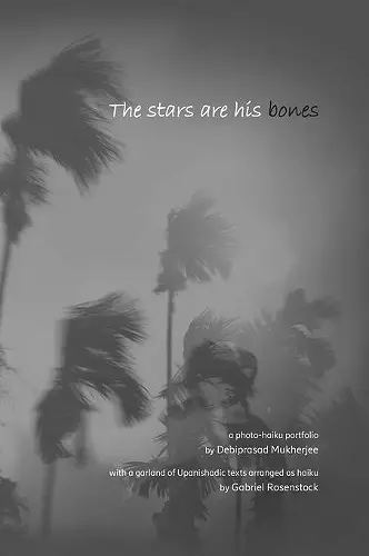 The stars are his bones cover