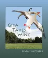 Gita Takes Wing cover