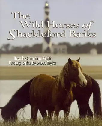 Wild Horses of Shackleford Banks cover