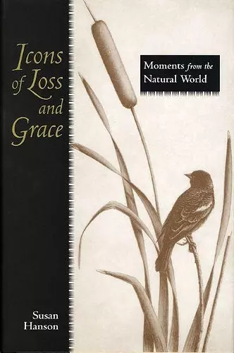 Icons of Loss and Grace cover