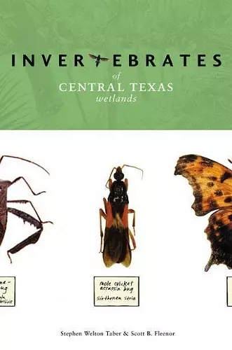 Invertebrates of Central Texas Wetlands cover