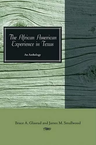 The African American Experience in Texas cover
