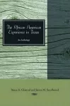 The African American Experience in Texas cover